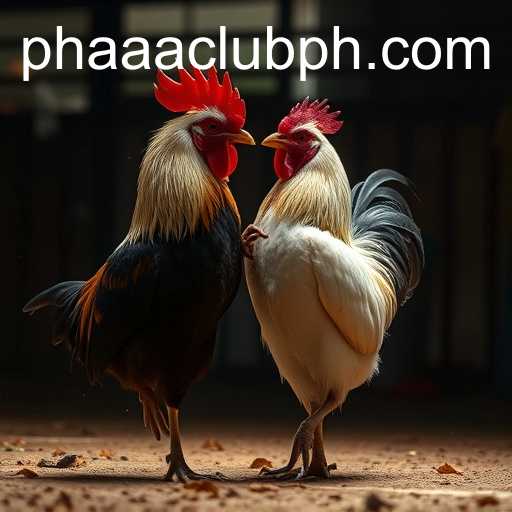 The Rise of Online Sabong and the Role of PHAAA CLUB